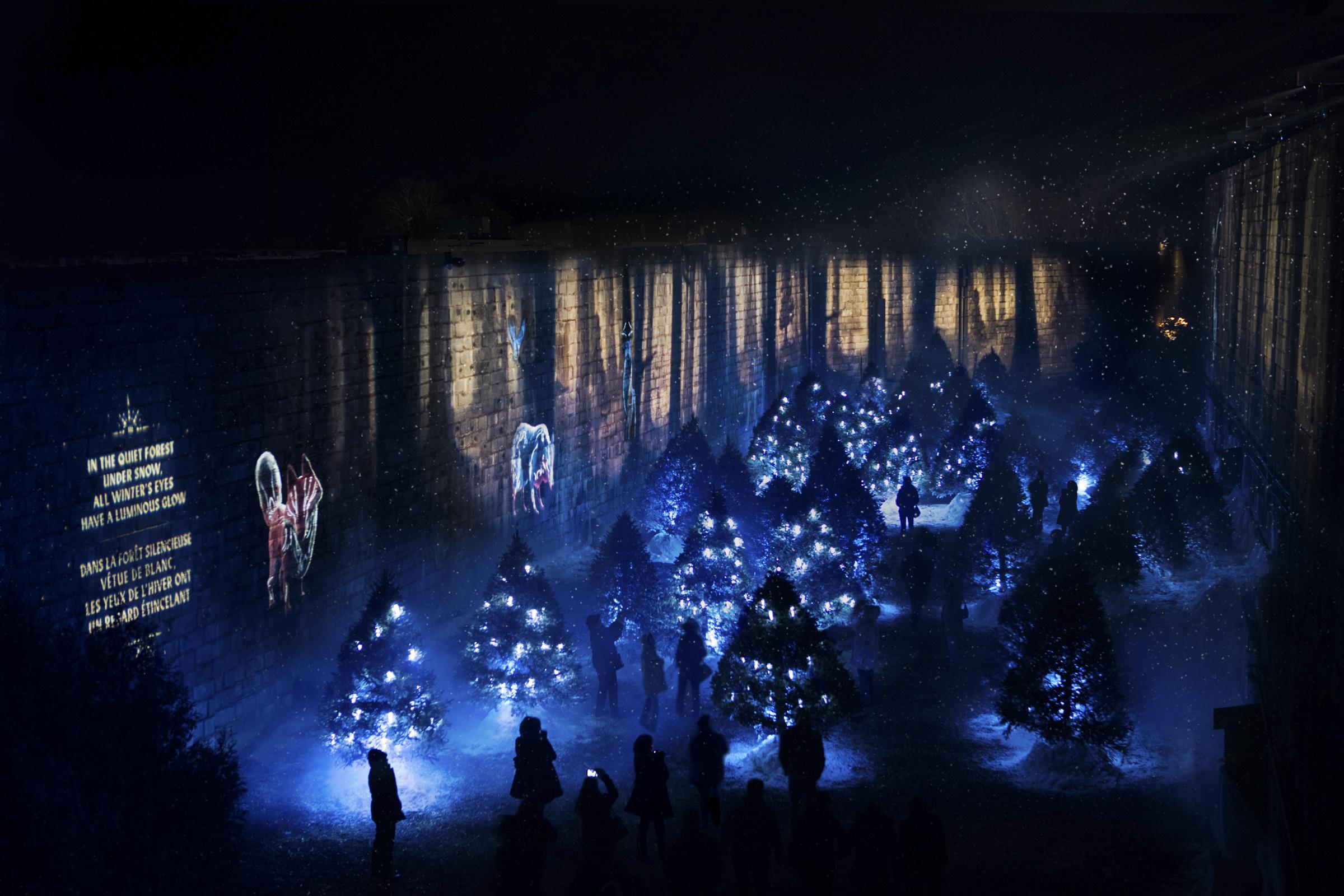 Lumina Borealis Overview of the glowing snowy evergreen Lumina Borealis forest