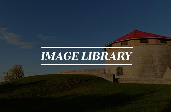 Image Library