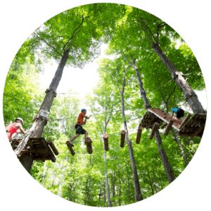 treetop_trekking