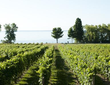 wineroute