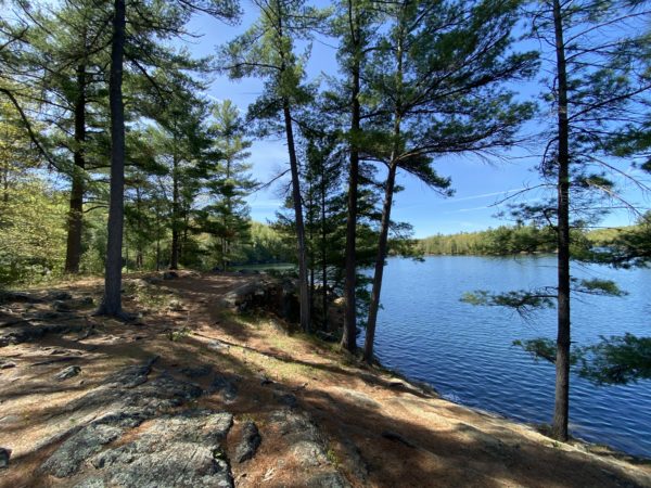 Gould Lake Hike